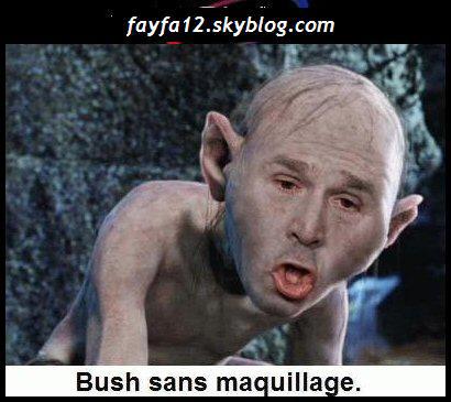 bush